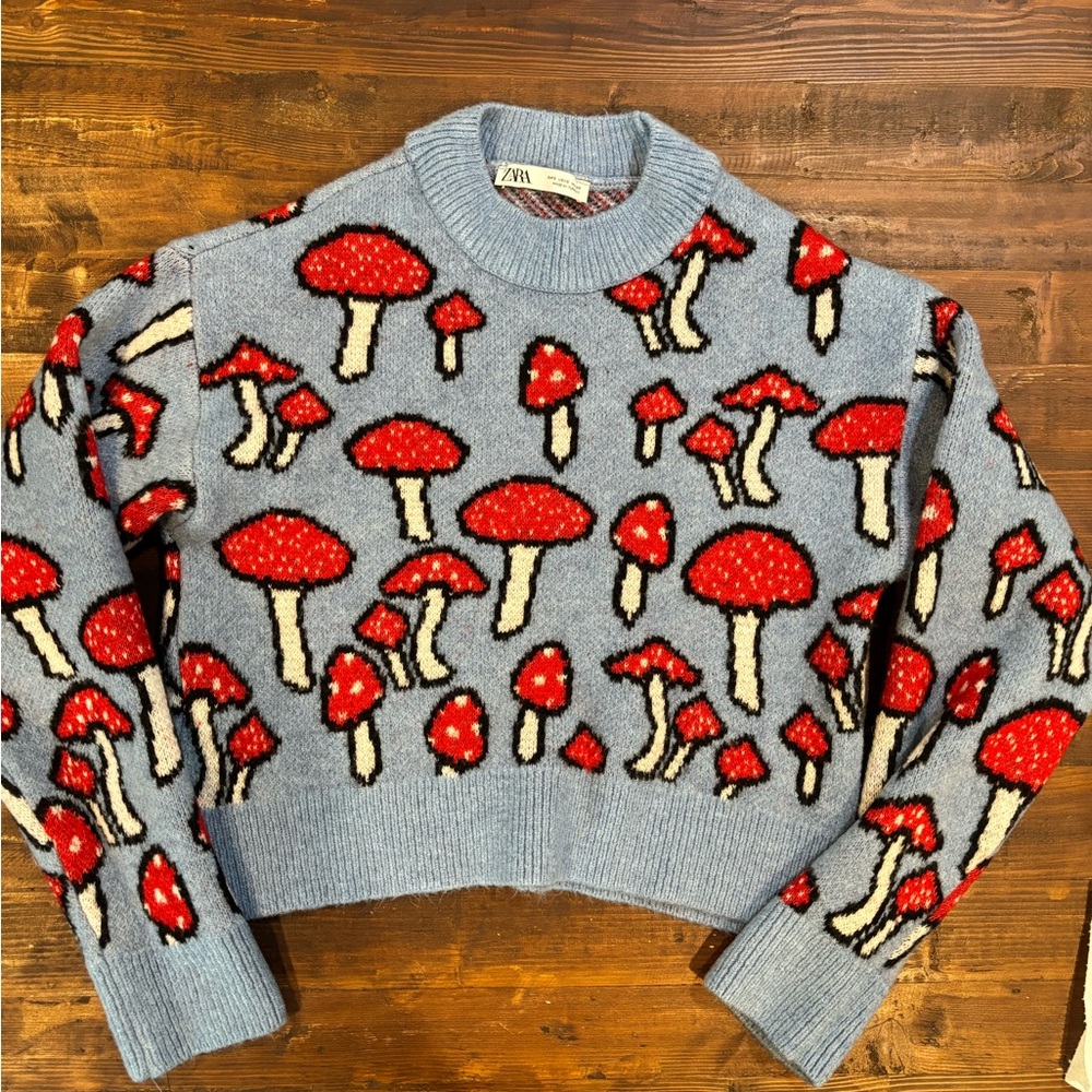 Zara Mushroom Pattern Blue Crew Neck Sweater